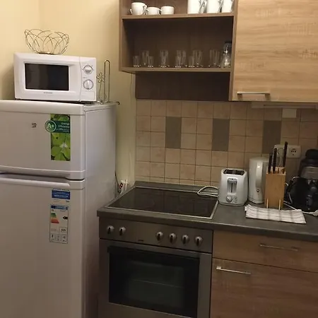 Club 218 Wellness Lakas Apartman Apartment